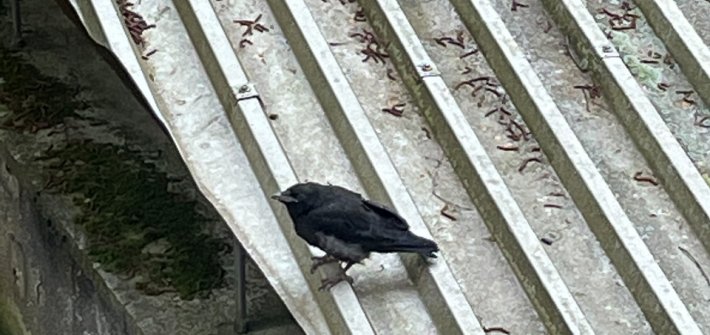 20220608 Hugin unbenannt-9712