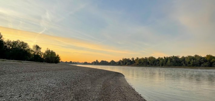 20220922 Rhein unbenannt-10833