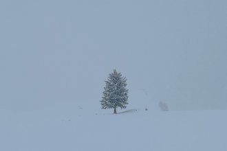 20240324 Engelberg unbenannt-16628